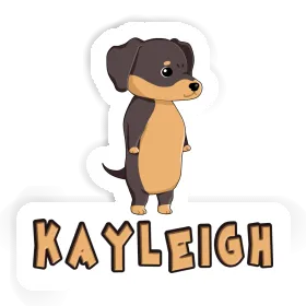 Aufkleber Teckel Kayleigh Image