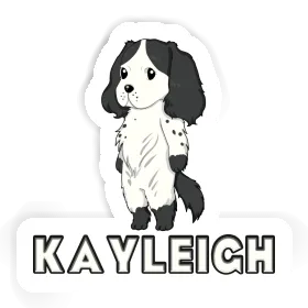 Kayleigh Sticker Spaniel Image