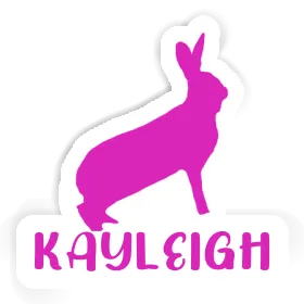 Kayleigh Sticker Rabbit Image