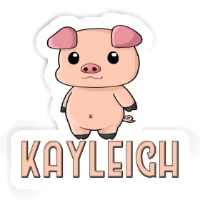 Kayleigh Sticker Piggy Image