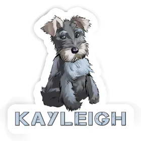 Kayleigh Sticker Schnauzer Image