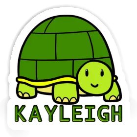 Kayleigh Aufkleber Schildkröte Image