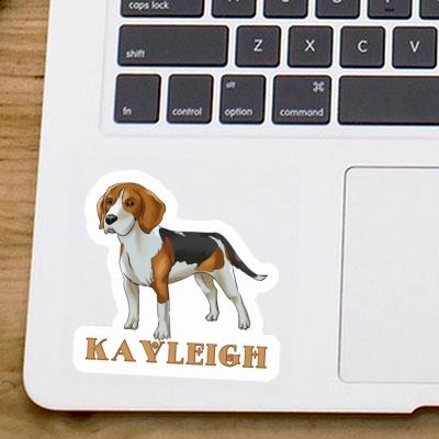 Sticker Beagle Dog Kayleigh Gift package Image