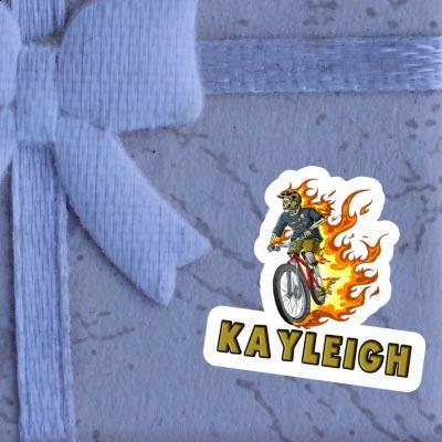 Autocollant Kayleigh VTTiste Gift package Image