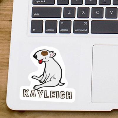 Kayleigh Autocollant Chien Gift package Image