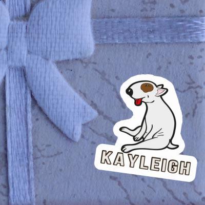 Kayleigh Autocollant Chien Gift package Image