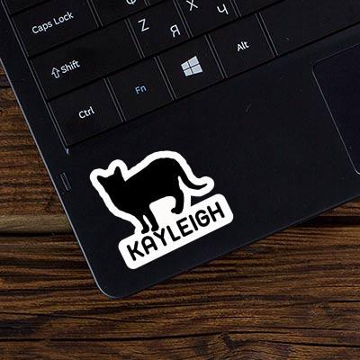 Cat Sticker Kayleigh Laptop Image