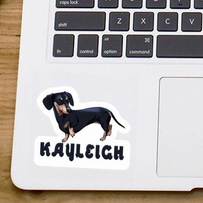 Sticker Kayleigh Dachshund Laptop Image