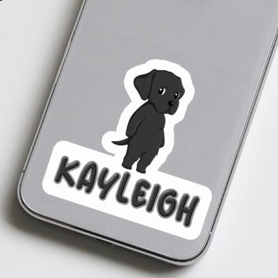 Kayleigh Aufkleber Labrador Gift package Image