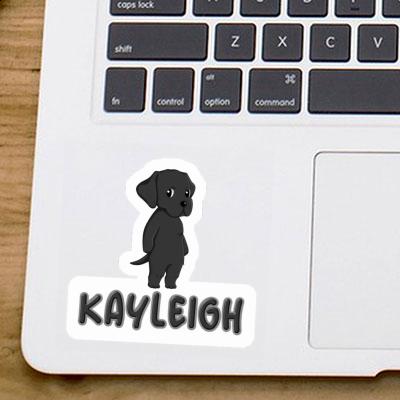 Kayleigh Autocollant Labrador Gift package Image