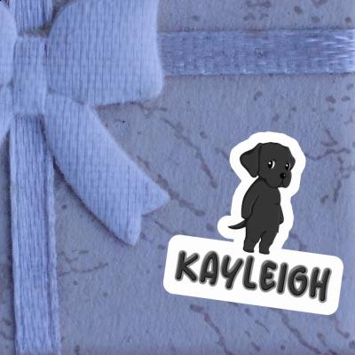 Kayleigh Autocollant Labrador Image