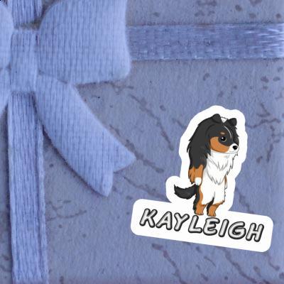 Autocollant Kayleigh Sheltie Image