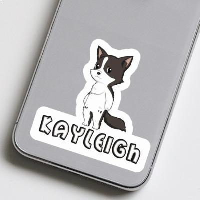 Kayleigh Autocollant Collie border Laptop Image