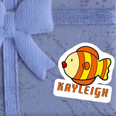 Aufkleber Kayleigh Fisch Gift package Image