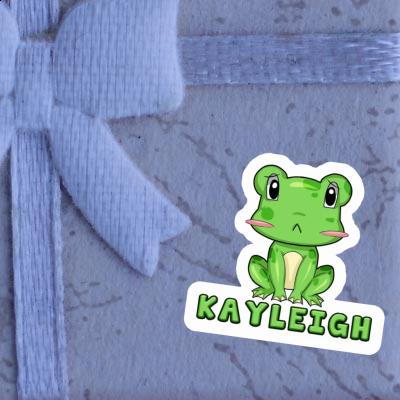 Frog Sticker Kayleigh Gift package Image