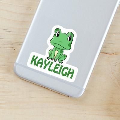 Kayleigh Sticker Frog Gift package Image