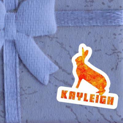 Kayleigh Sticker Rabbit Notebook Image