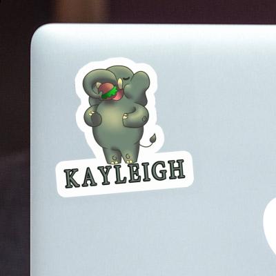 Kayleigh Sticker Elefant Gift package Image