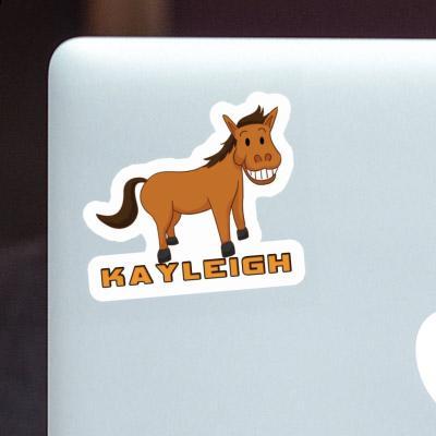 Kayleigh Sticker Grinning Horse Gift package Image