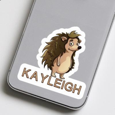 Kayleigh Sticker Standing Hedgehog Laptop Image