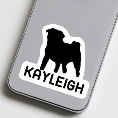 Kayleigh Sticker Mops Gift package Image