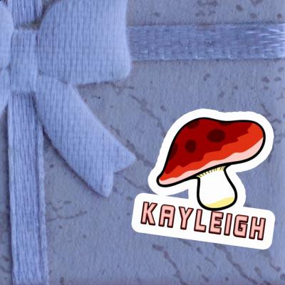 Autocollant Champignon Kayleigh Gift package Image