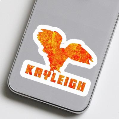 Sticker Eule Kayleigh Gift package Image