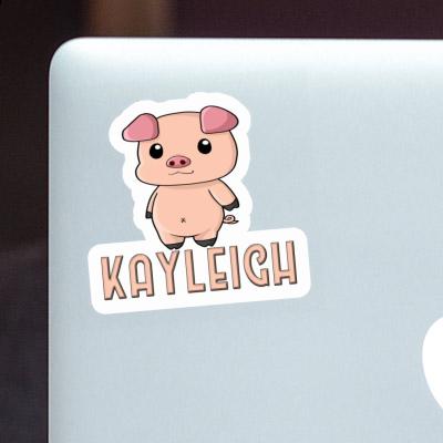 Kayleigh Sticker Piggy Notebook Image