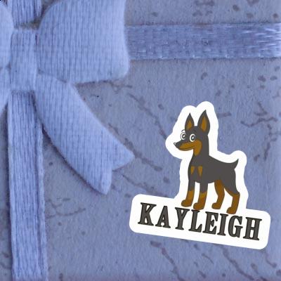 Sticker Kayleigh Pinscher Notebook Image