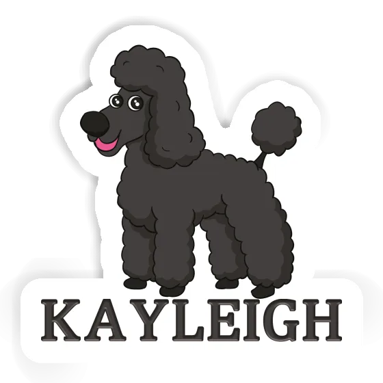 Pudel Sticker Kayleigh Laptop Image