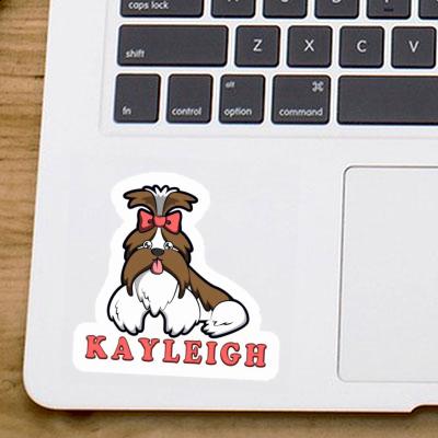 Autocollant Shih Tzu Kayleigh Gift package Image