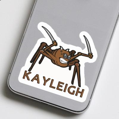 Araignée Autocollant Kayleigh Laptop Image