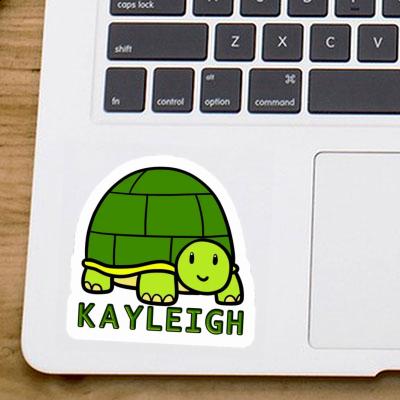 Turtle Sticker Kayleigh Image