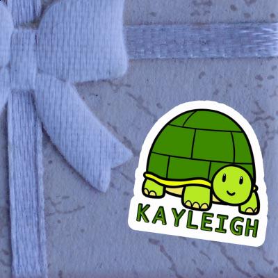 Kayleigh Aufkleber Schildkröte Gift package Image