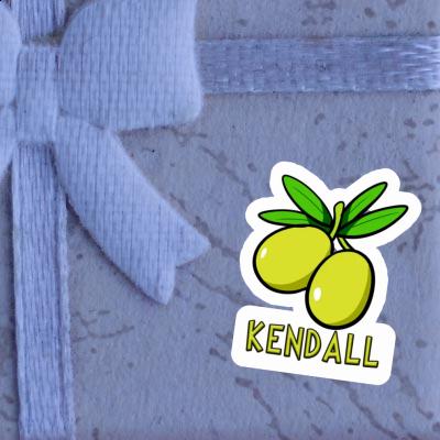 Olive Autocollant Kendall Notebook Olive Autocollant Kendall Gift package Image