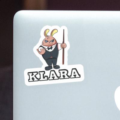 Billiard Player Sticker Klara Image