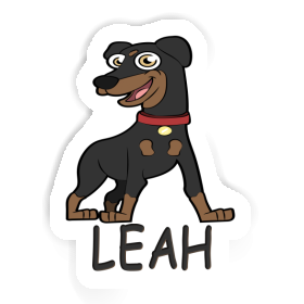 Pinscher Sticker Leah Image