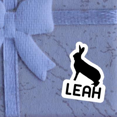 Leah Sticker Rabbit Leah Sticker Rabbit Image