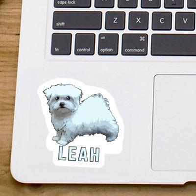 Leah Aufkleber Malteserhund Laptop Image