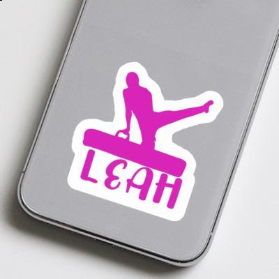 Leah Sticker Gymnast Gift package Image