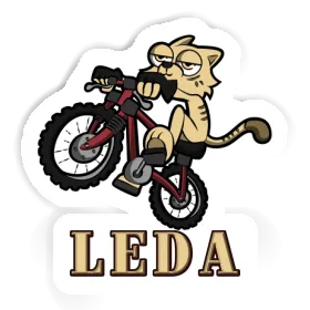 Autocollant Leda Chat à vélo Image