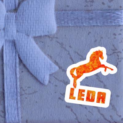 Autocollant Cheval Leda Laptop Image