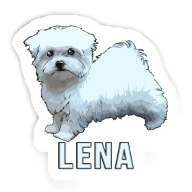 Maltese Dog Sticker Lena Image