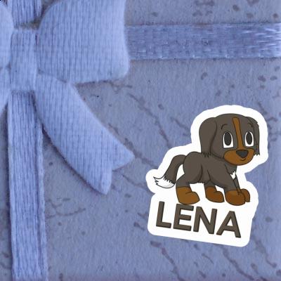 Aufkleber Berner Sennenhund Lena Gift package Image