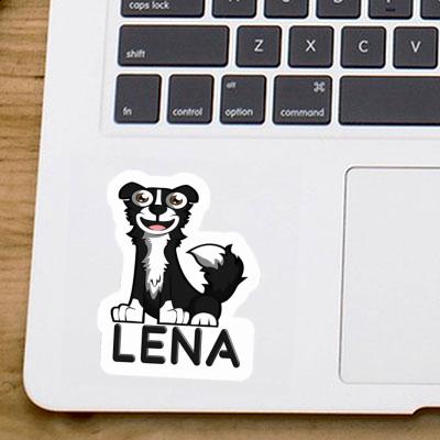 Sticker Lena Collie Gift package Image