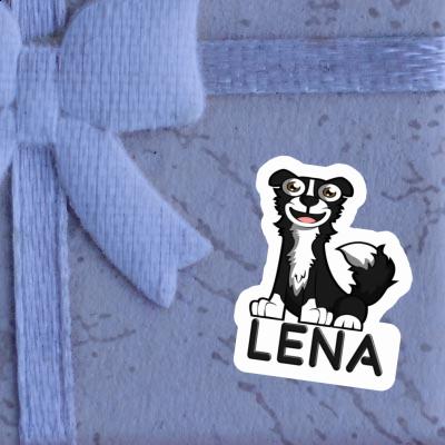 Sticker Lena Border Collie Gift package Image