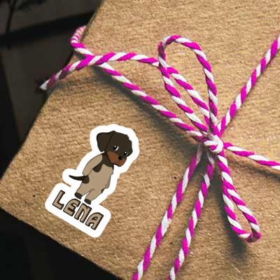 Sticker Lena German Wirehaired Gift package Image