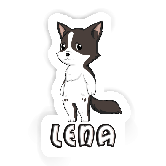 Lena Autocollant Collie border Gift package Image