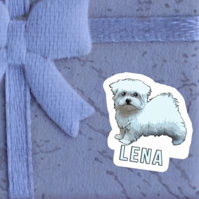 Autocollant Lena Bichon maltais Gift package Image