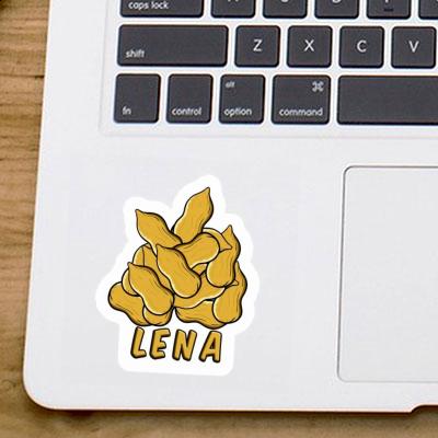 Sticker Nut Lena Image